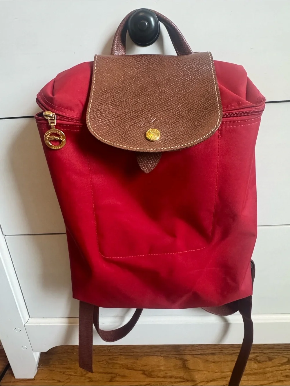 Longchamp Backpack with Brown Leather Flap - Classic Women's Bag
